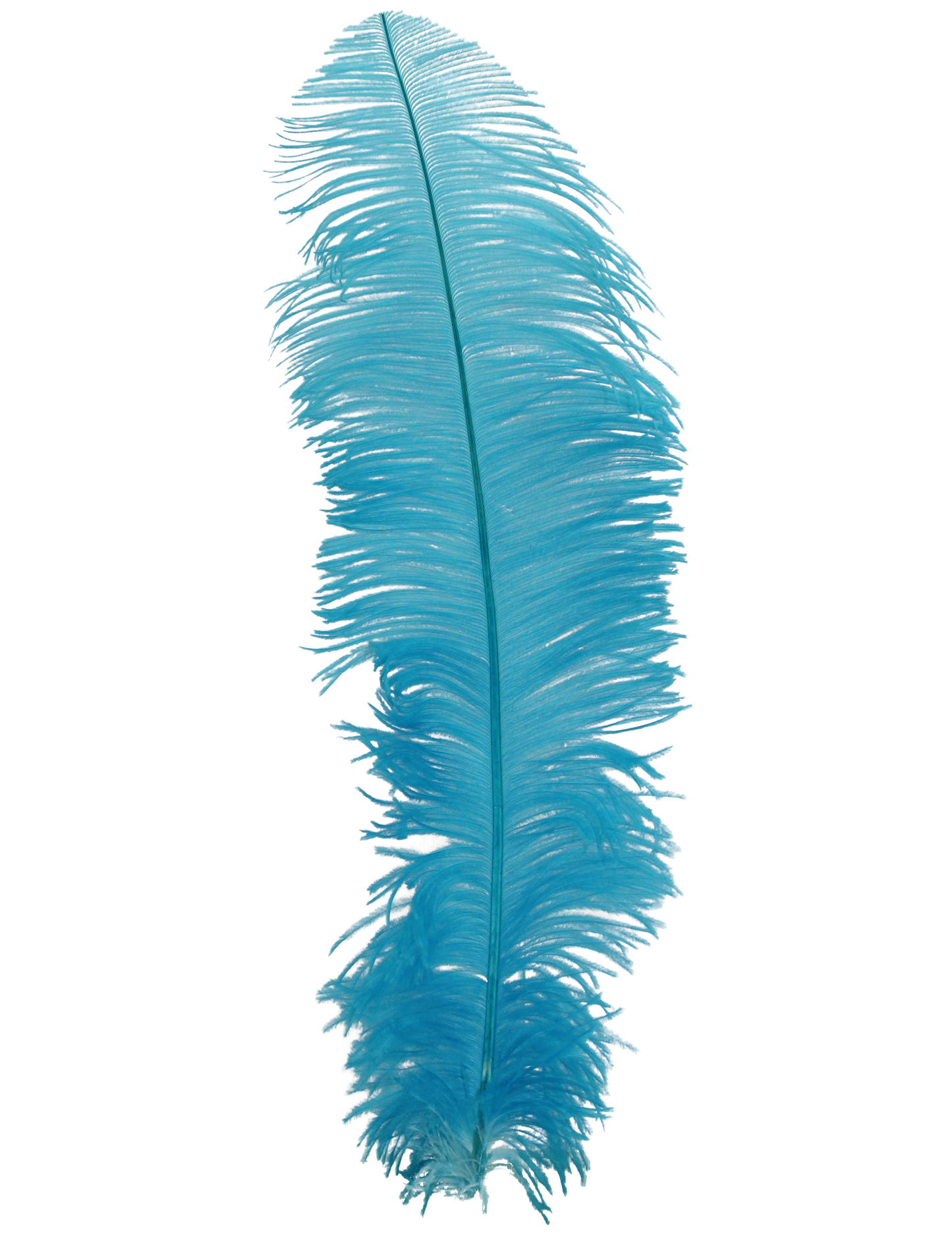 Ostrich Wing Plumes 2nd Quality20"+ H12 Aqua Blue