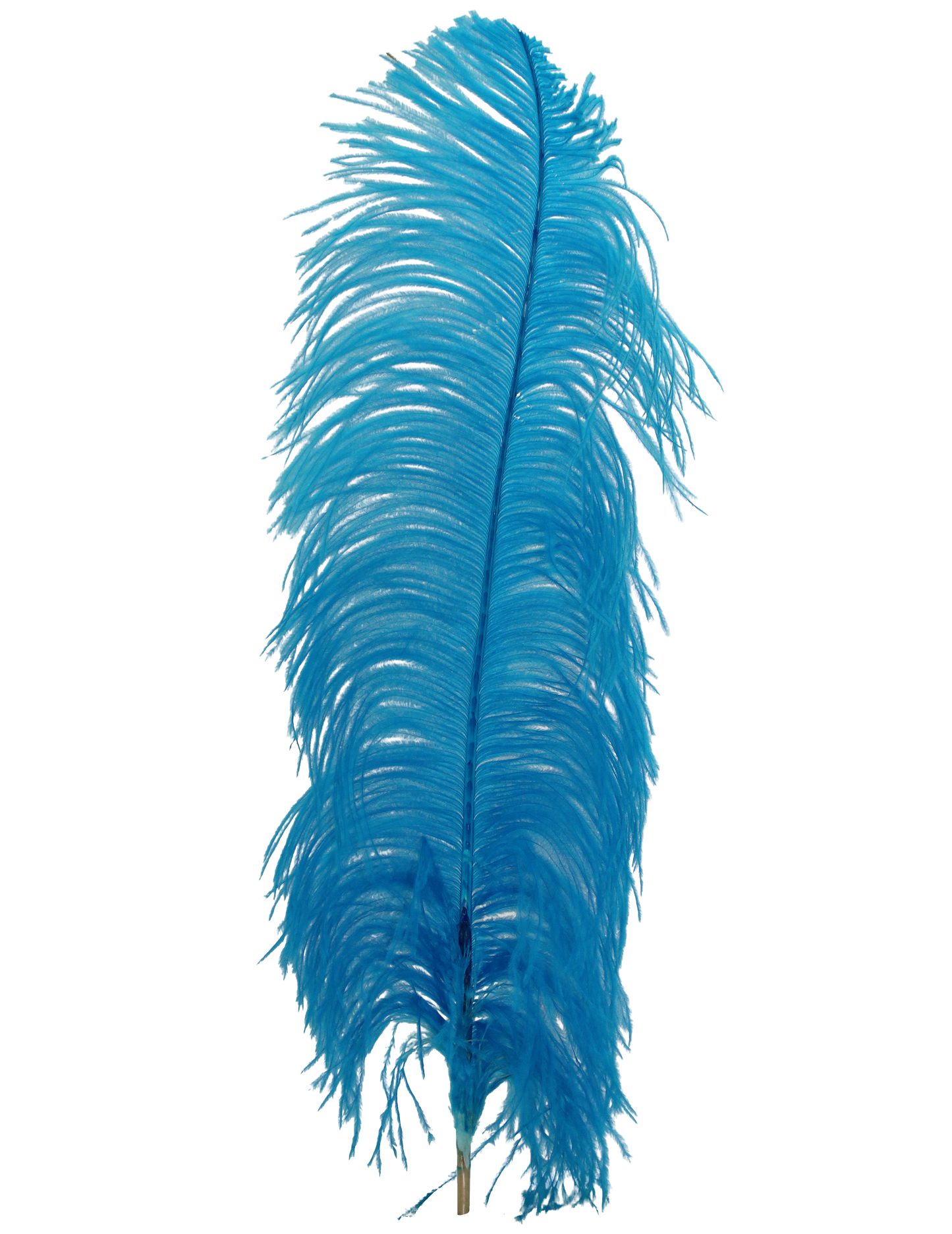 Ostrich Wing Plumes 2nd Quality20"+ H13 Dark Aqua