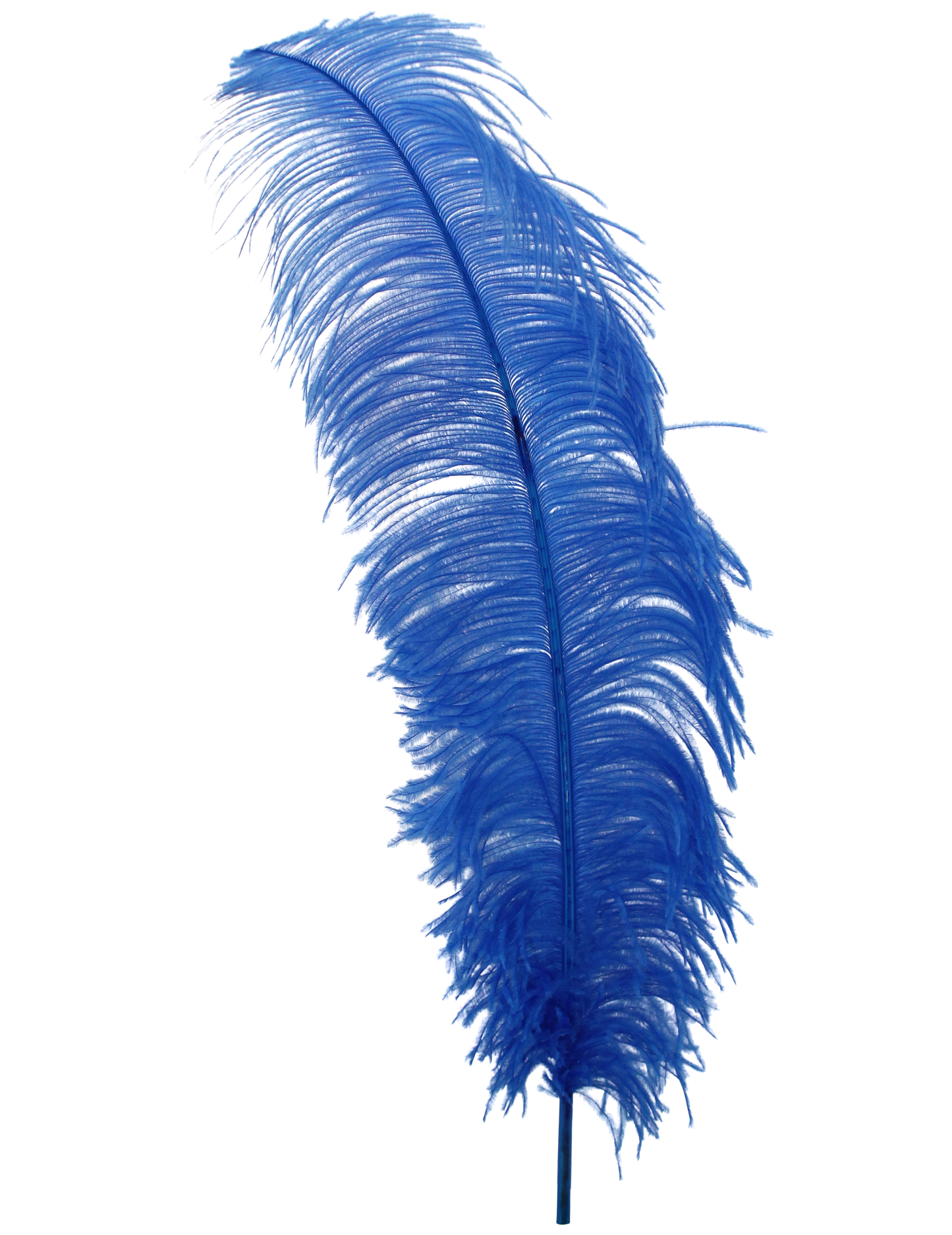 Ostrich Wing Plumes 2nd Quality20"+ H18 Sapphire