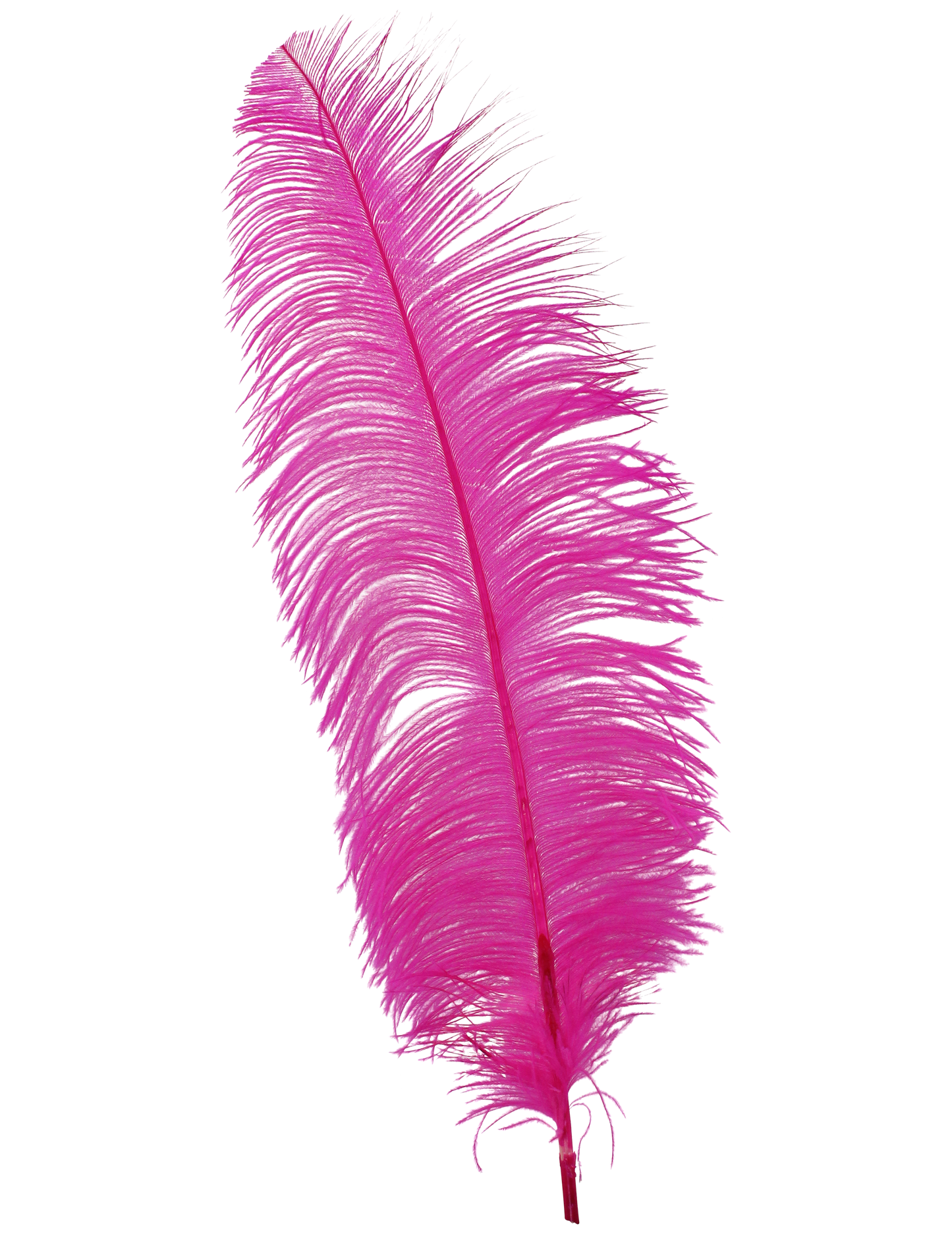 Ostrich Wing Plumes 2nd Quality20"+ H69 Hot Pink