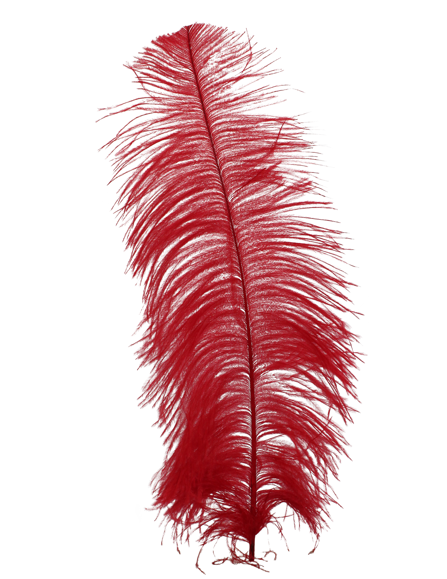 Ostrich Wing Plumes 2nd Quality20"+ H72 Red