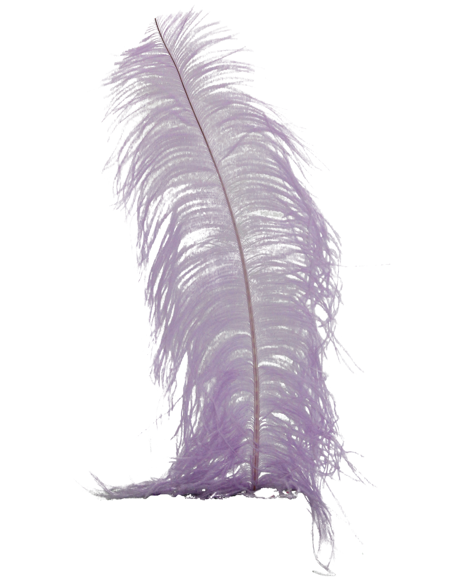 Ostrich Wing Plumes 2nd Quality20"+ H74 Lilac