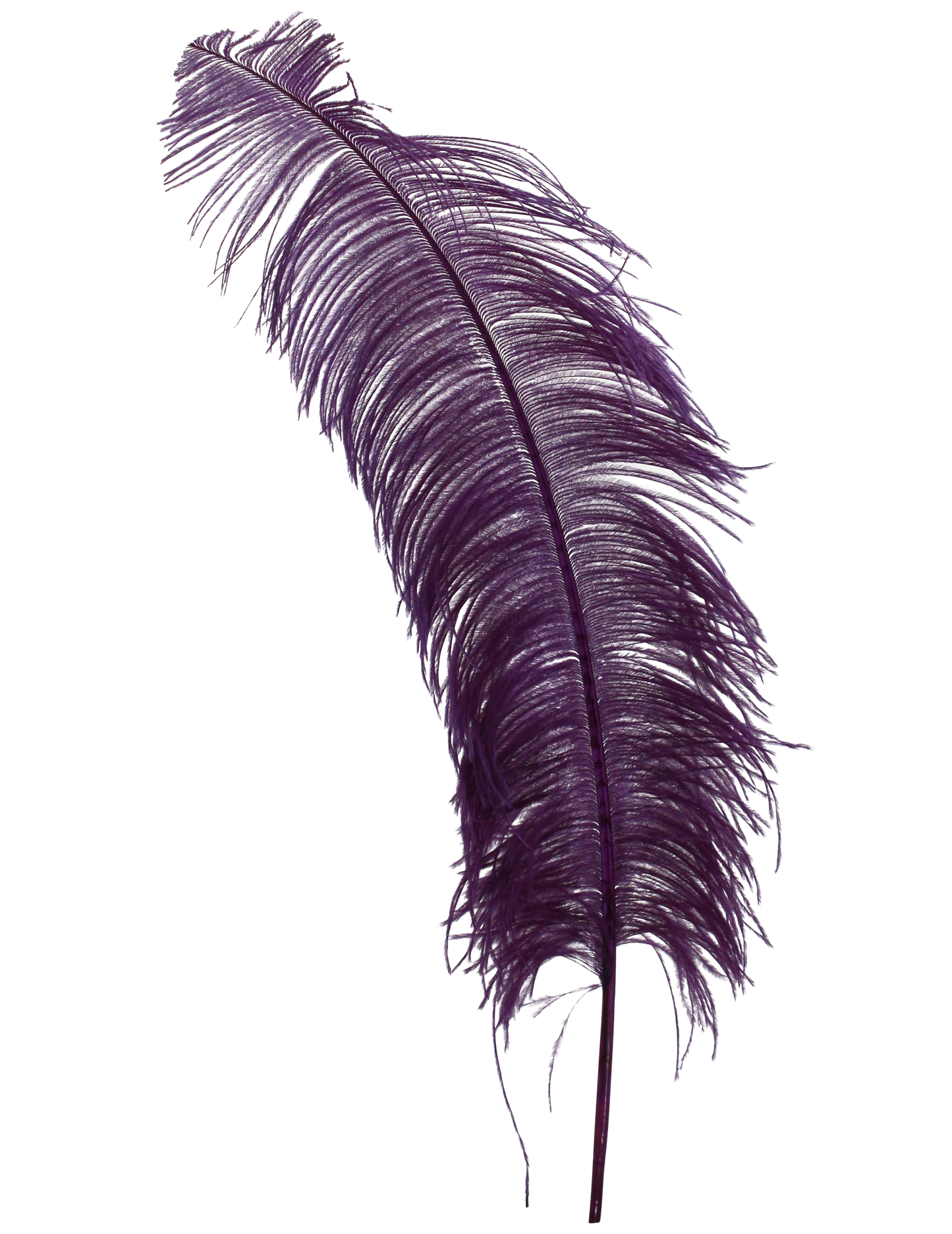 Ostrich Wing Plumes 2nd Quality20"+ H75 Purple