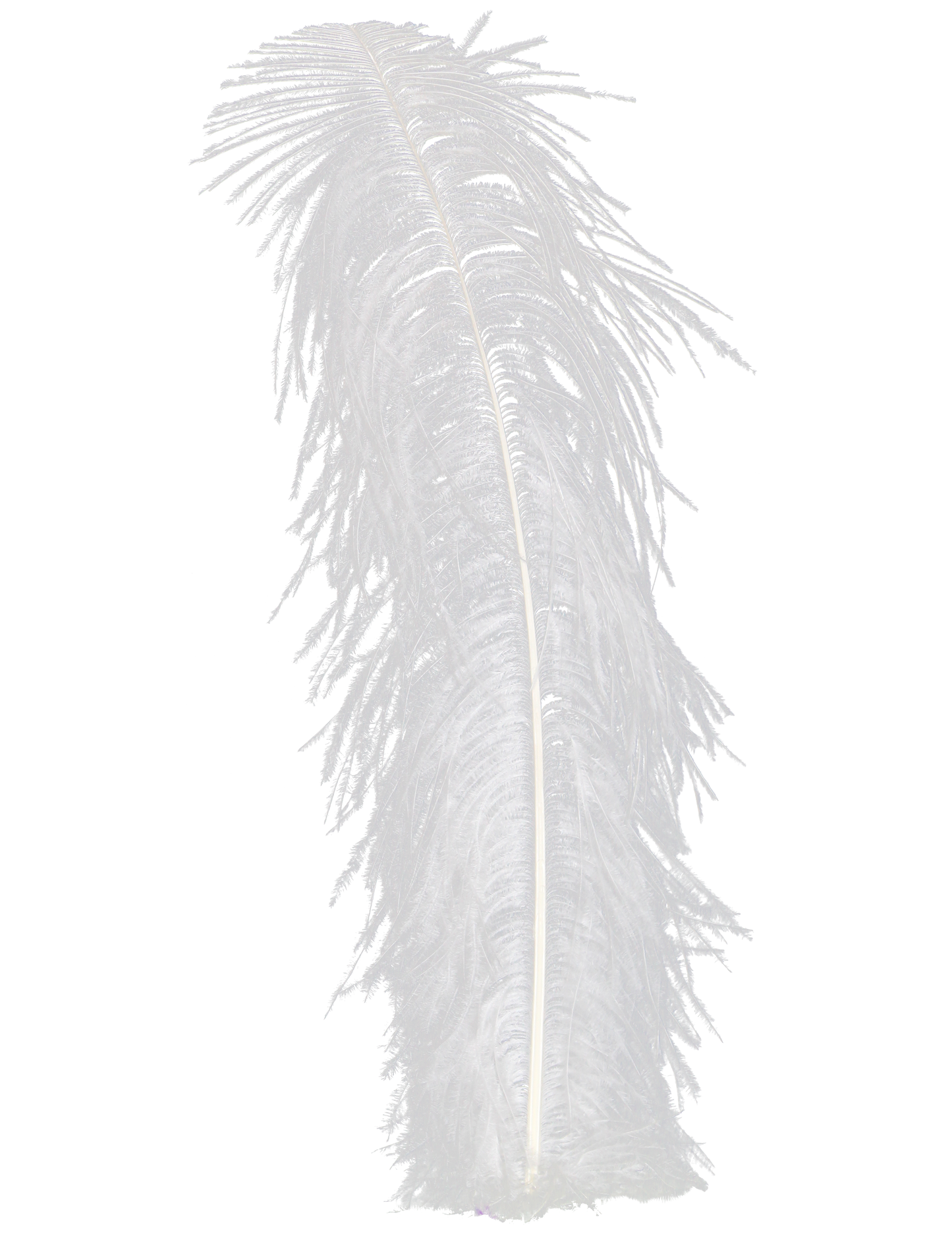 Ostrich Wing Plumes 2nd Quality20"+ H81 White