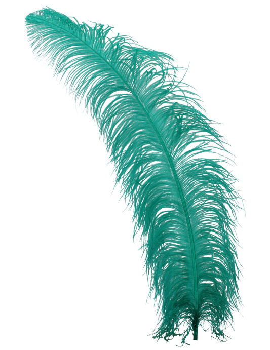 Ostrich Wing Plumes 2nd Quality20"+ H87 Aquamarine