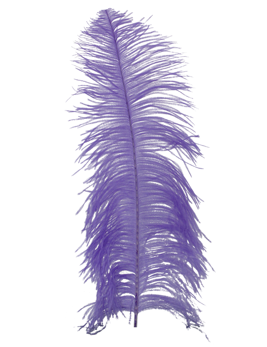 Ostrich Wing Plumes 2nd Quality20"+ H89 Lavender