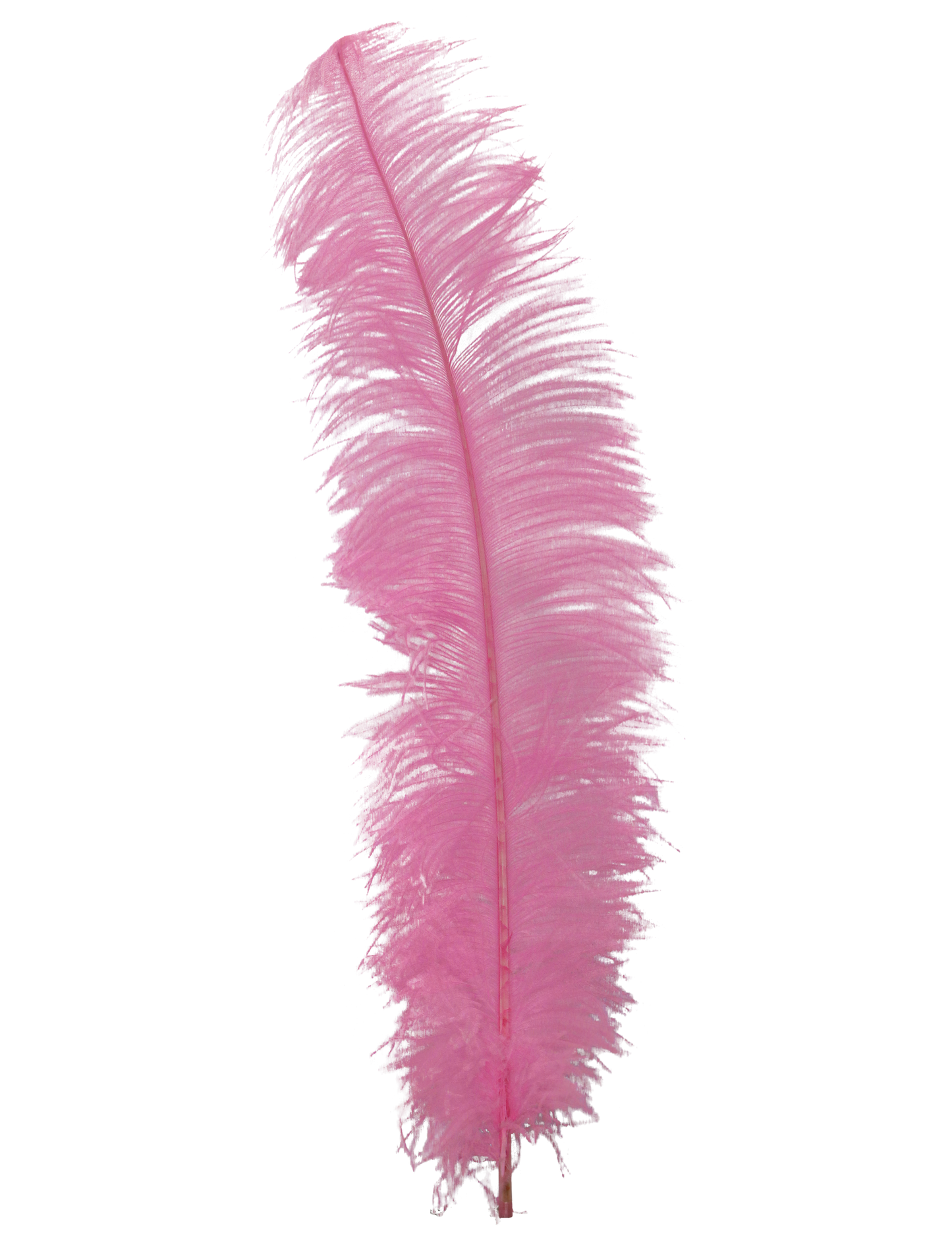 Spads Untrimmed 20" + H65 Candy Pink