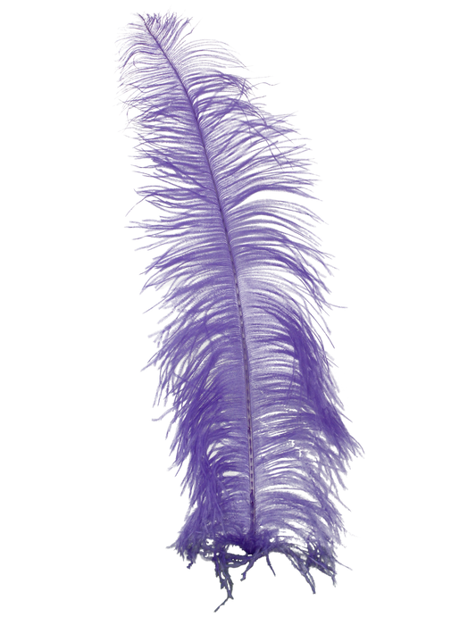 Spads Untrimmed 20" + H89 Lavender