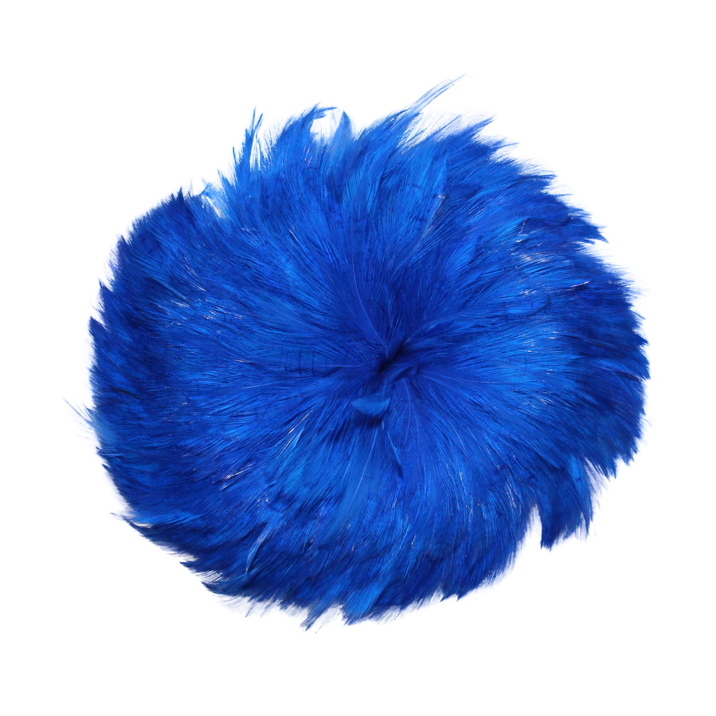 Hackles Pounds 4-6" H17 Royal Blue