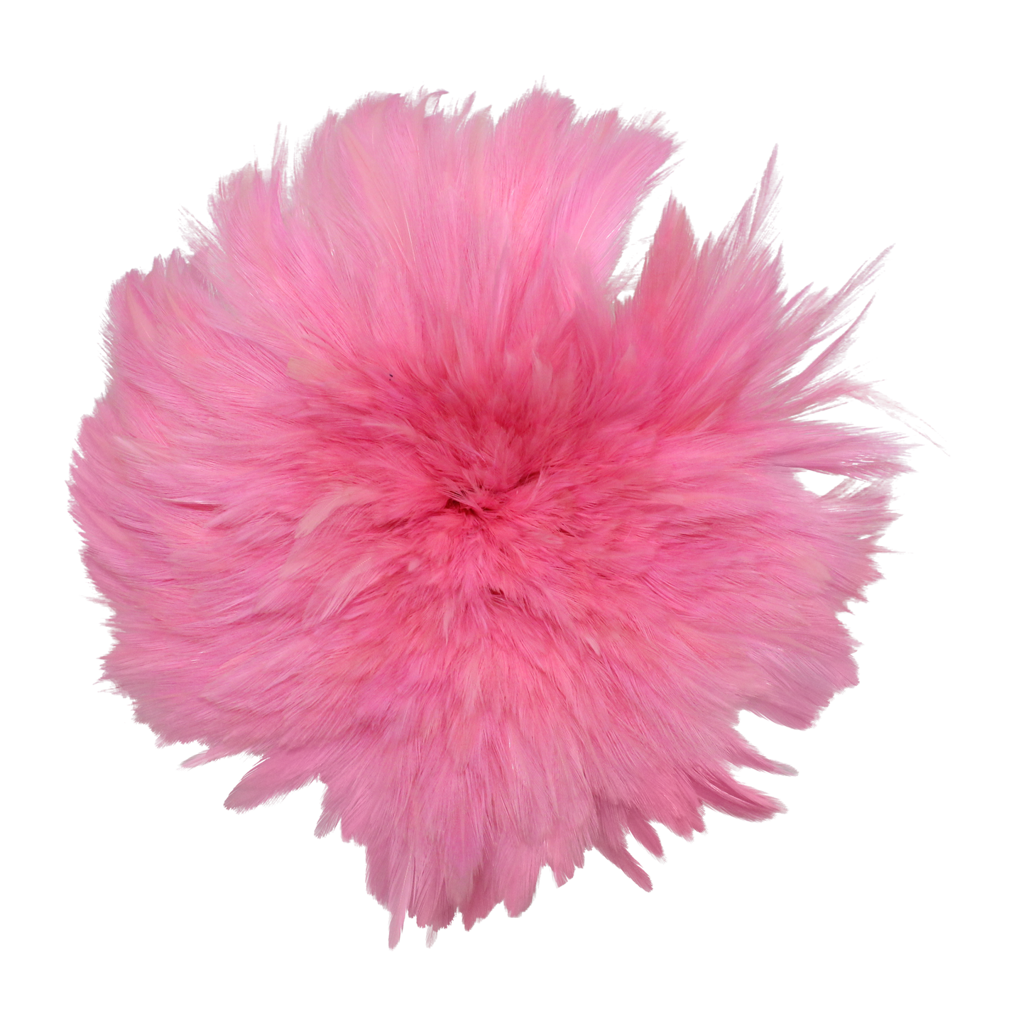 Hackles Pounds 4-6" H64 Baby Pink