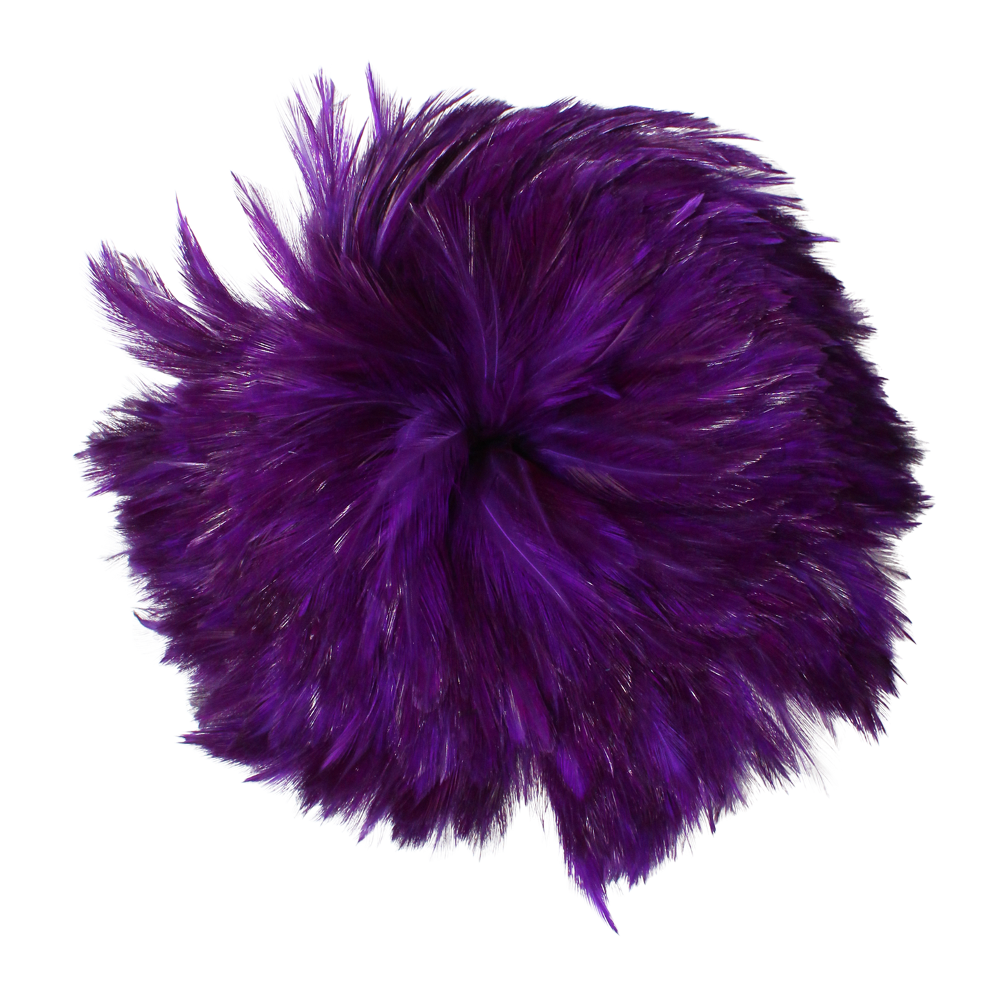 Hackles Pounds 4-6" H75 Purple