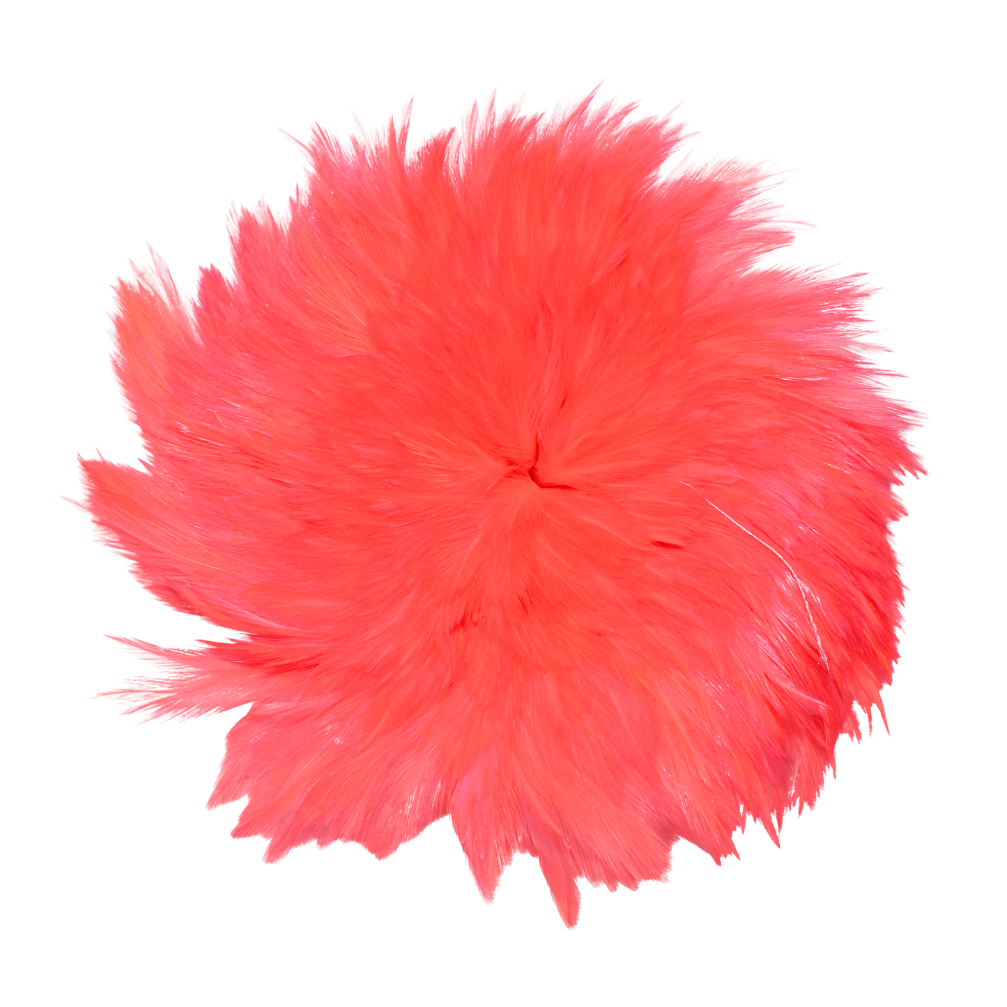 Hackles Pounds 4-6" H111 Coral