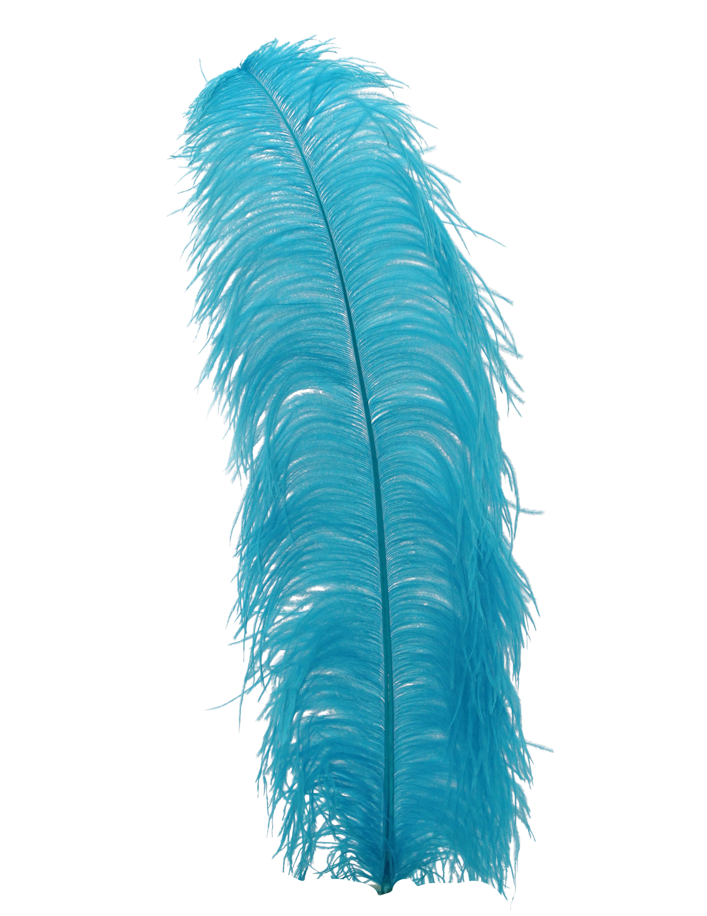 Ostrich Wing Plumes 1st Quality 20"+ H12 Aqua