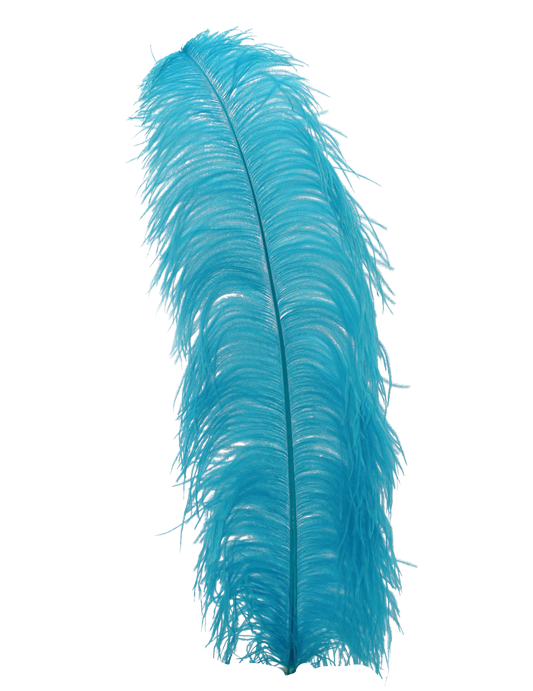 Ostrich Wing Plumes 1st Quality 20"+ H12 Aqua