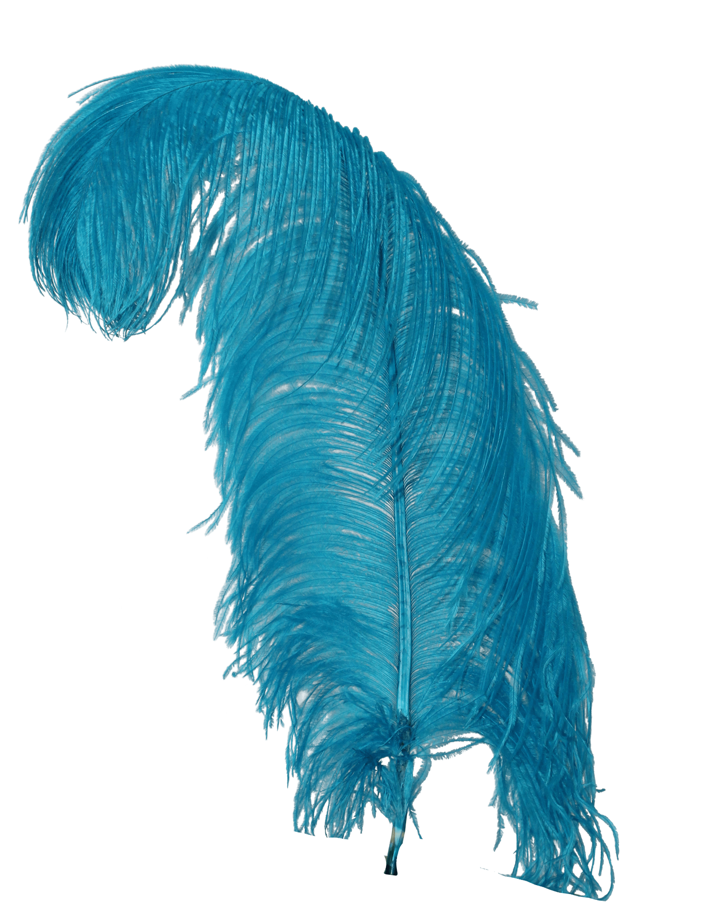 Ostrich Wing Plumes 1st Quality 20"+ H13 Aqua