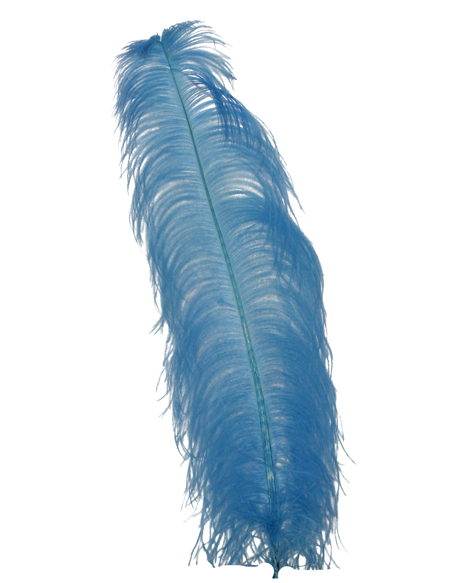 Ostrich Wing Plumes 1st Quality 20"+ H15 Sky Blue