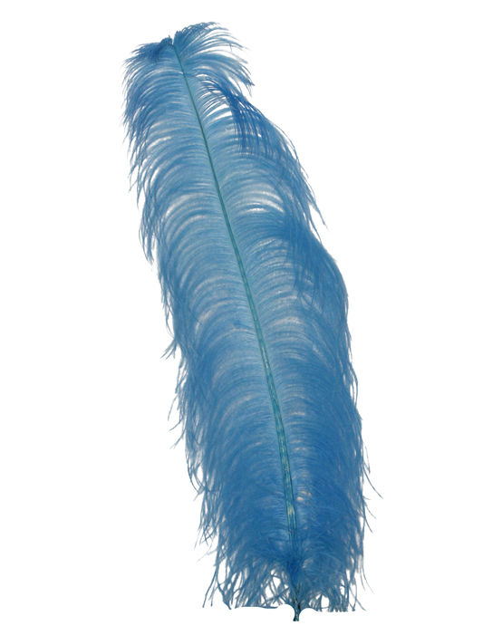 Ostrich Wing Plumes 1st Quality 20"+ H15 Sky Blue