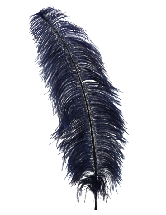 Ostrich Wing Plumes 1st Quality 20"+ H24 Navy