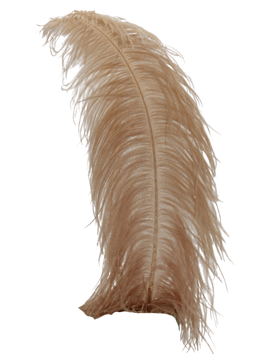 Ostrich Wing Plumes 1st Quality 20"+ H40 Tan