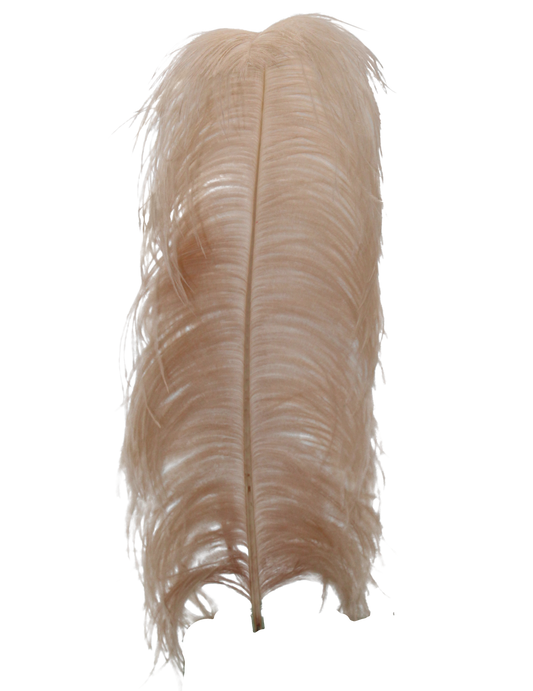 Ostrich Wing Plumes 1st Quality 20"+ H41 Champagne