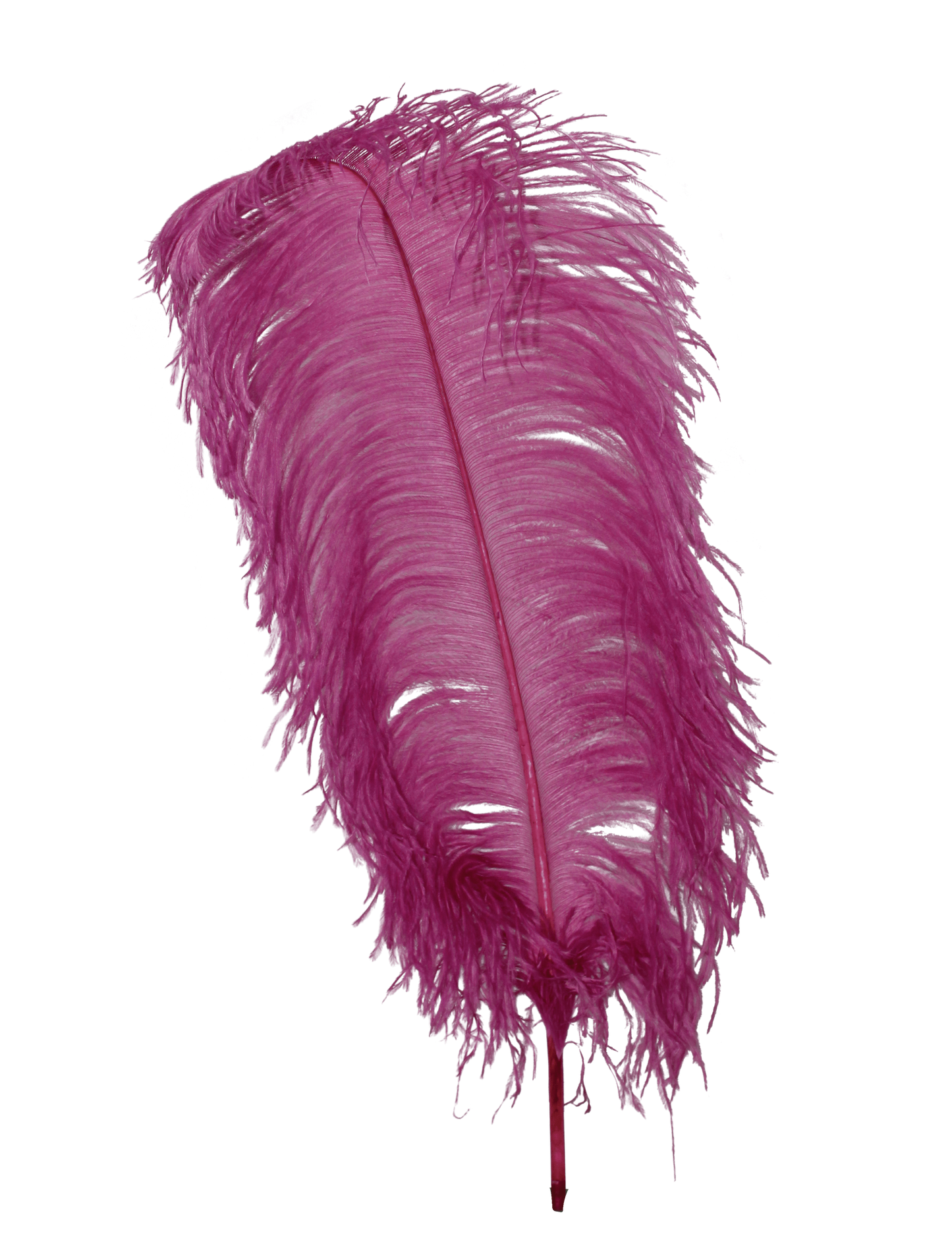 Ostrich Wing Plumes 1st Quality 20"+ H51 Mauve