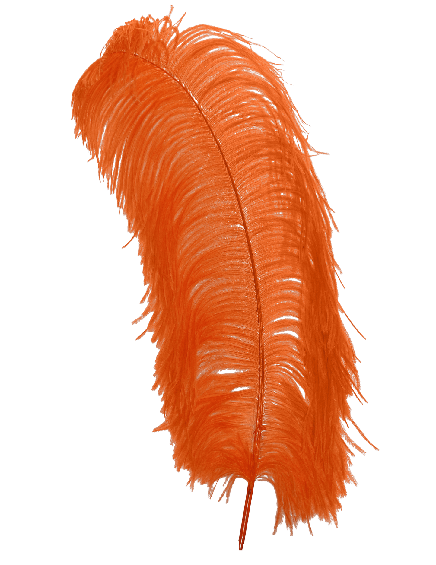 Ostrich Wing Plumes 1st Quality 20"+ H62 Orange