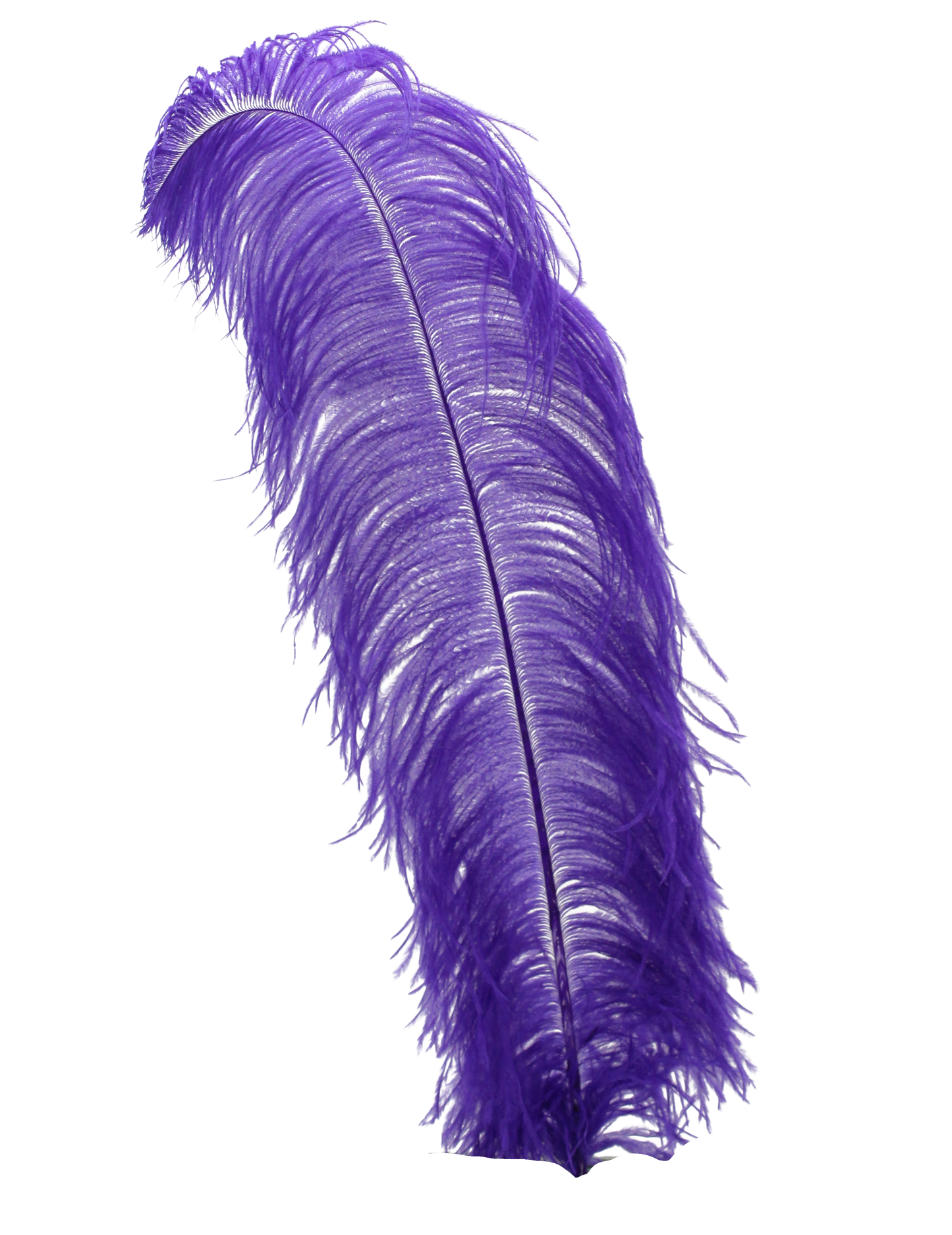 Ostrich Wing Plumes 1st Quality 20"+ H86 Violet