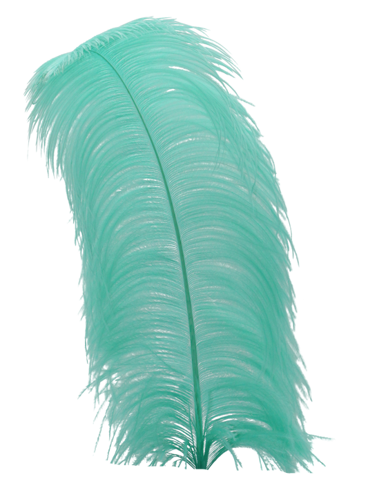 Ostrich Wing Plumes 1st Quality 20"+ H115