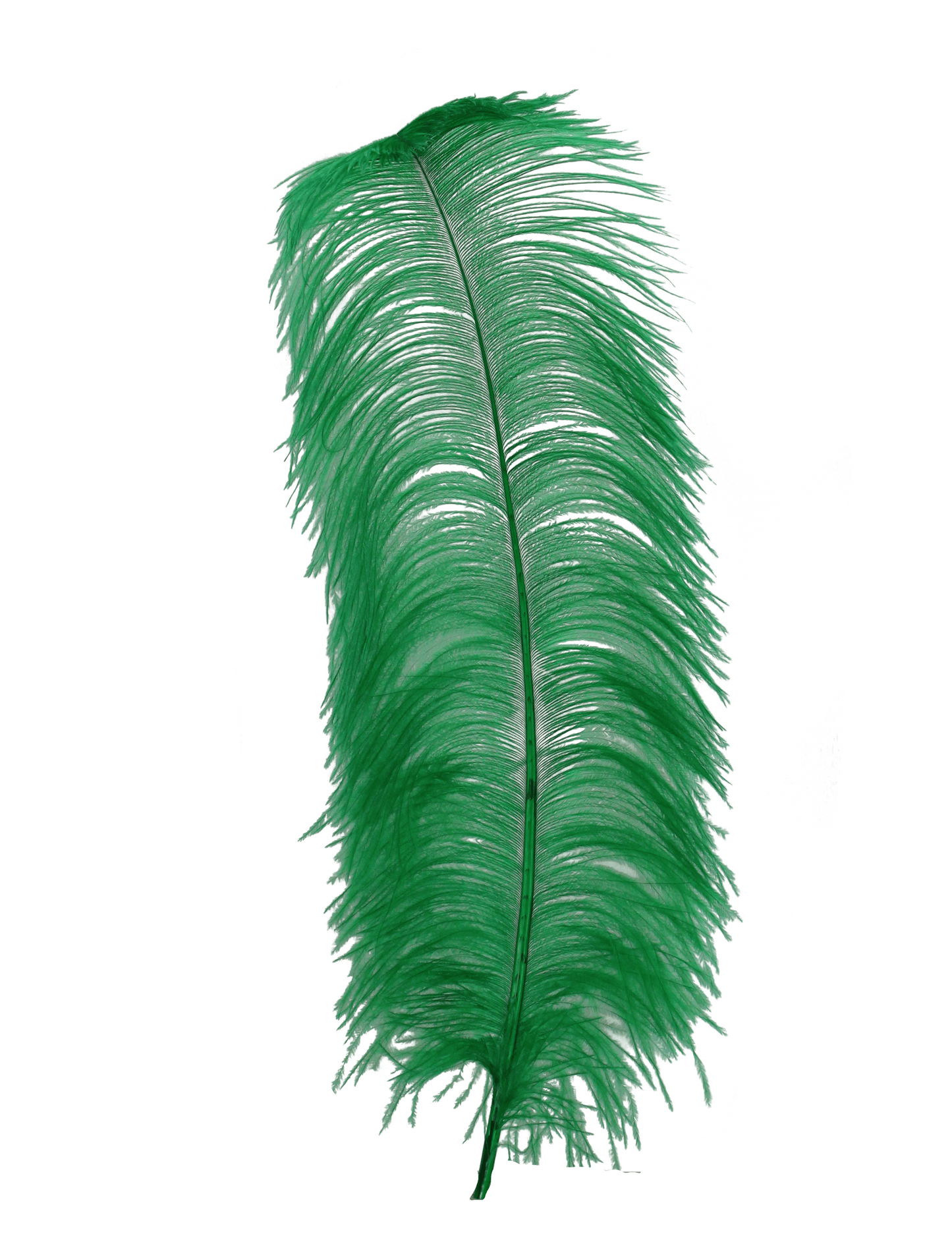 Ostrich Wing Plumes 1st Quality 20"+ H9 Emerald