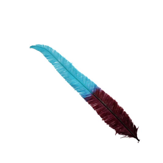 Ostrich Nando Thick Stems 2 Tone 18" H12 Aqua Blue & H57 Cranberry