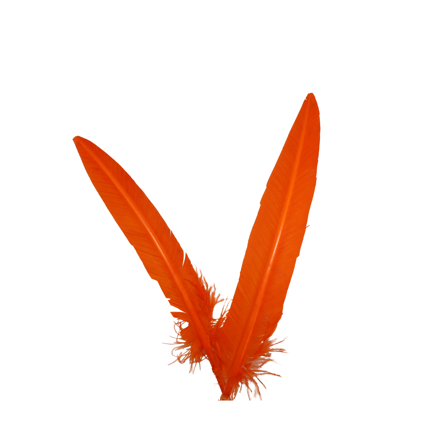 Turkey Quills Arrow Cut H62 Orange