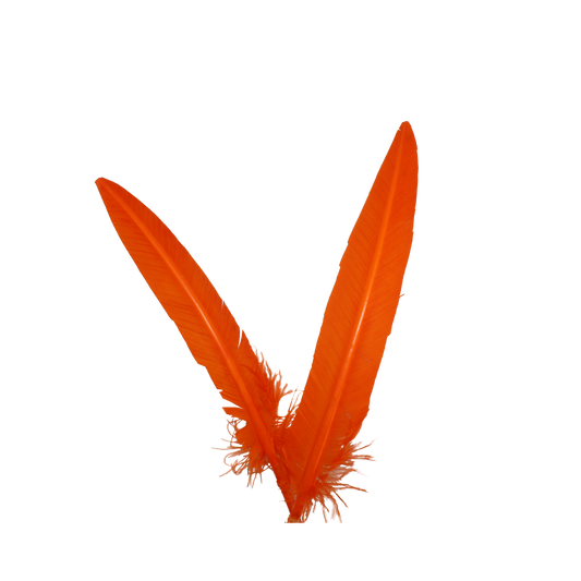 Turkey Quills Arrow Cut H62 Orange