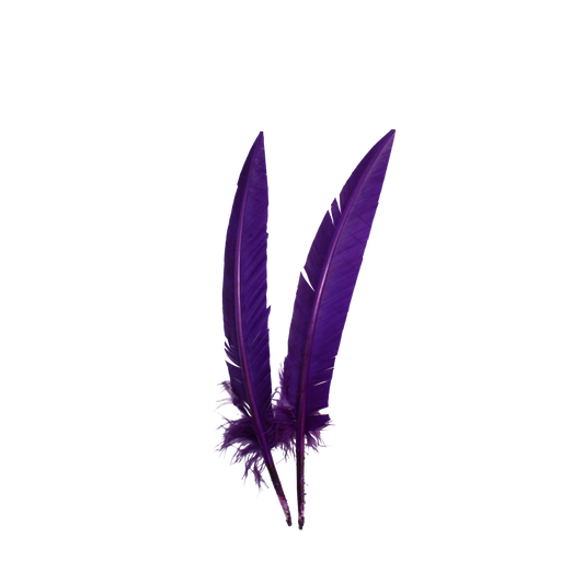 Turkey Quills Arrow Cut H75 Purple