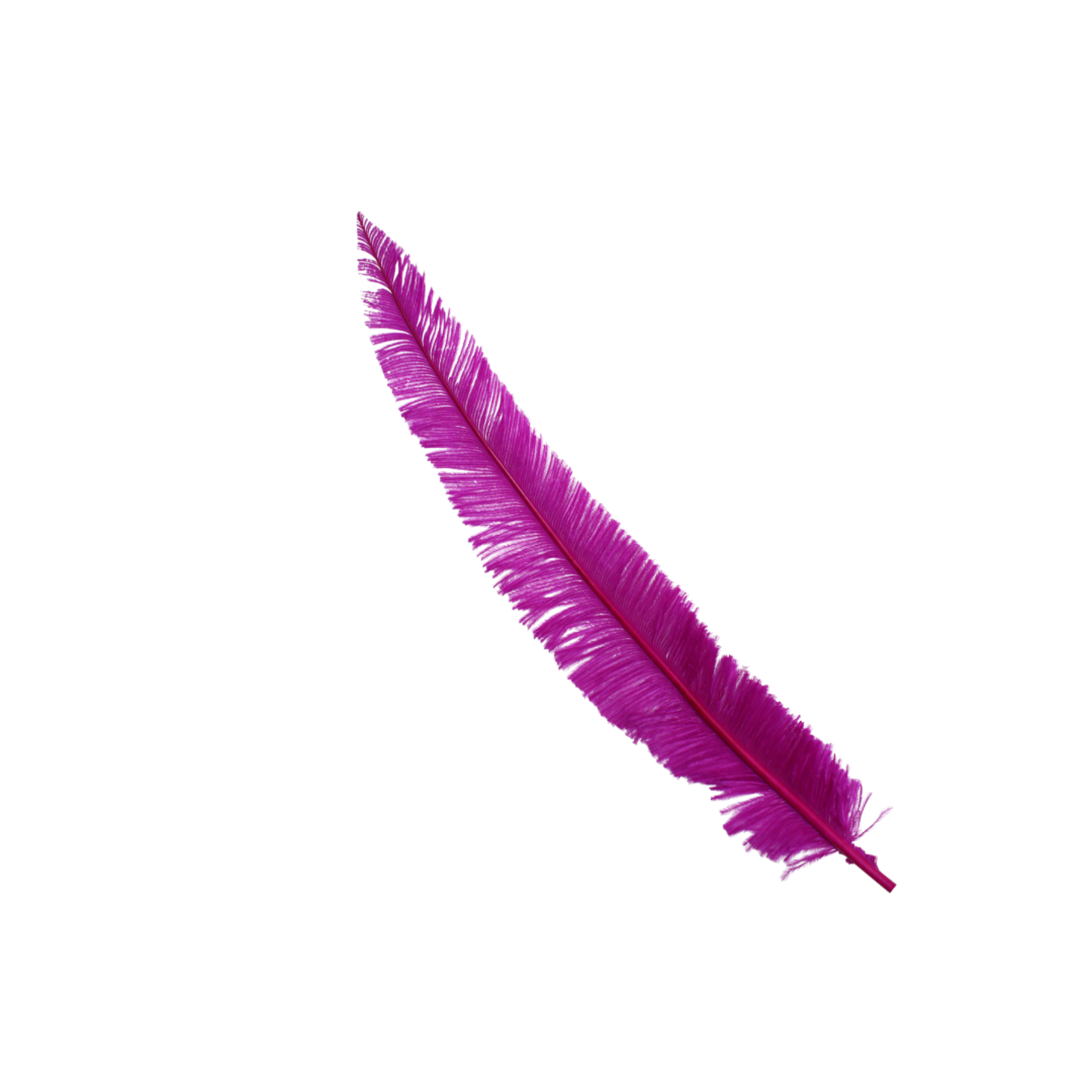 Ostrich Nando Thick Stems 18"+ H52 Magenta