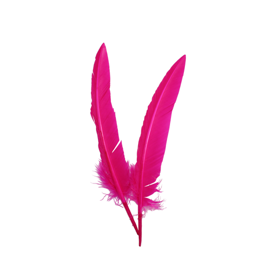 Turkey Quills Arrow Cut H69 Hot Pink