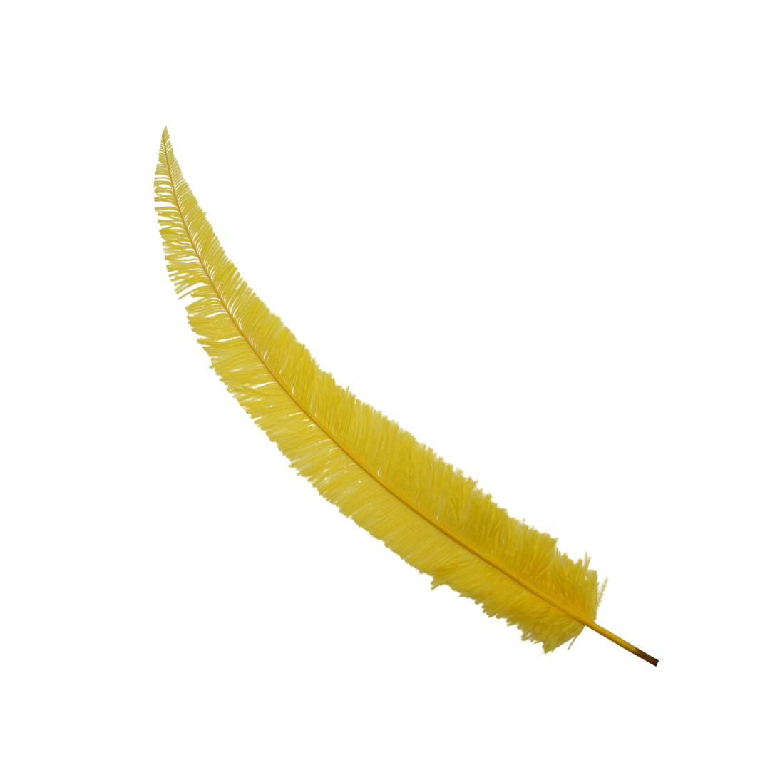 Ostrich Nando Thick Stems 18"+ H36 Yellow