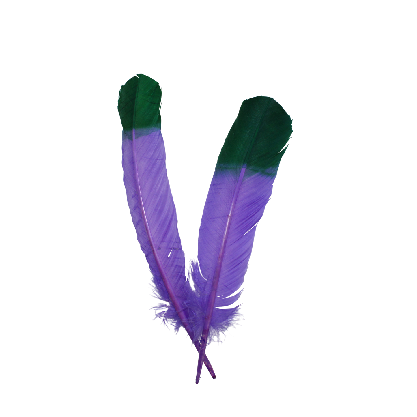 Turkey Quills Regular Cut 2 Tone H89 Lavender & H9 Emerald