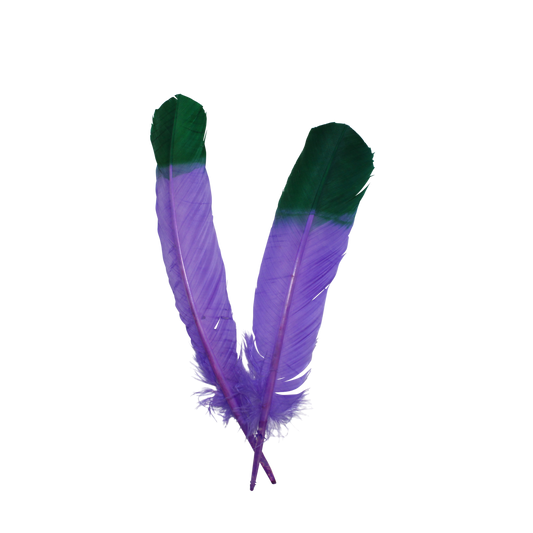 Turkey Quills Regular Cut 2 Tone H89 Lavender & H9 Emerald