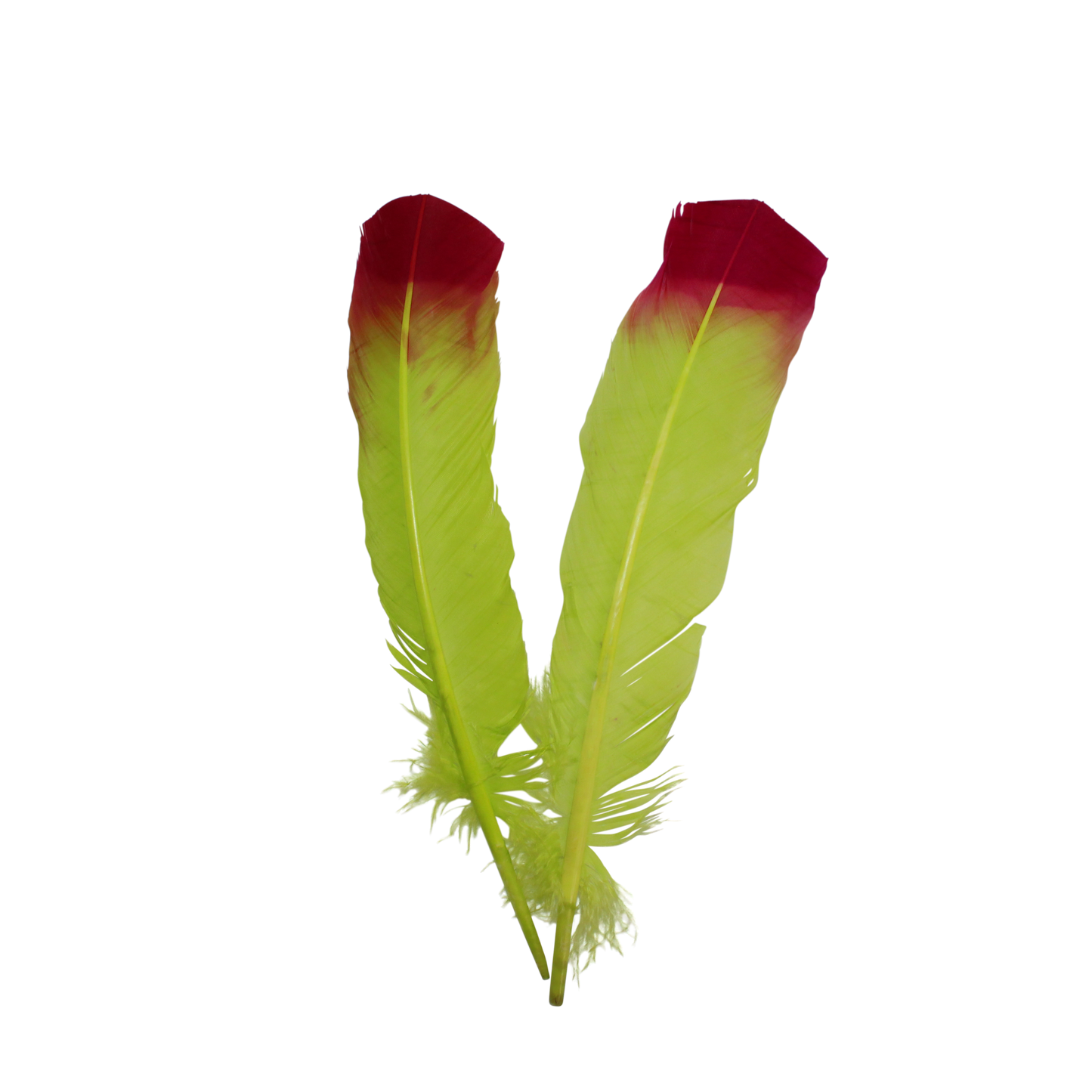 Turkey Quills Regular Cut 2 Tone Neon Yellow & H57 Cranberry