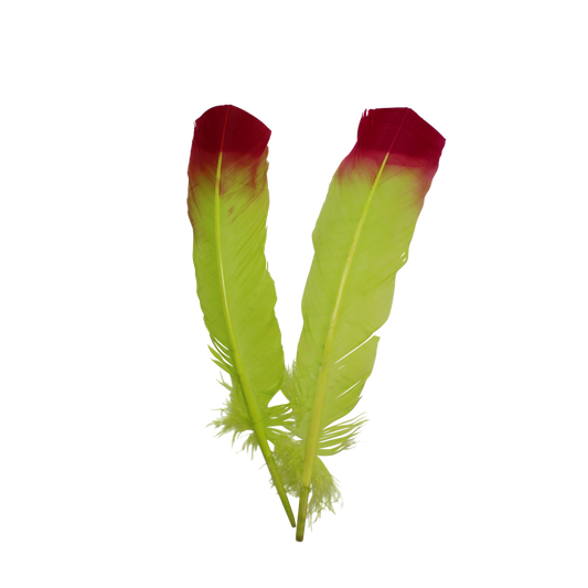 Turkey Quills Regular Cut 2 Tone Neon Yellow & H57 Cranberry