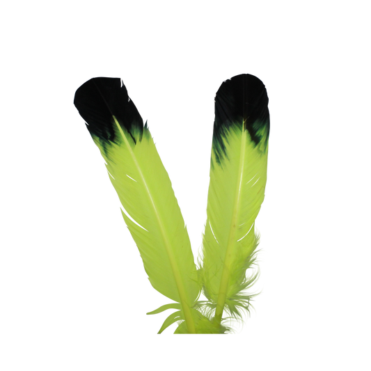 Turkey Quills Regular Cut Neon Yellow with Black Tips