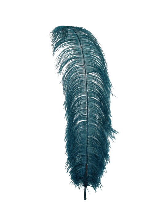 Ostrich Wing Plumes 1st Quality 20"+ H4 Teal