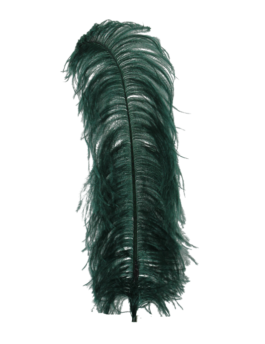 Ostrich Wing Plumes 1st Quality 20"+ H5 Dark Teal