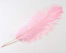 Ostrich Wing Plumes 20”+ 1st Quality (CHOOSE YOUR COLOR)