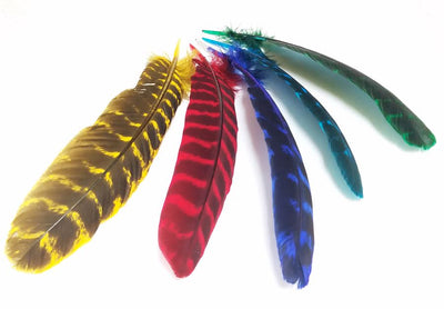 Black with Metallic Silver Tip Quill Feathers by the Pound – Schuman  Feathers