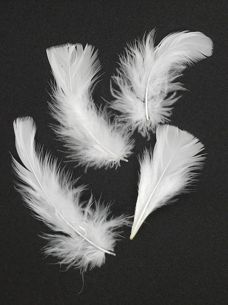 White feathers. Realistic frame with fluffy bird plume, falling softne By  YummyBuum